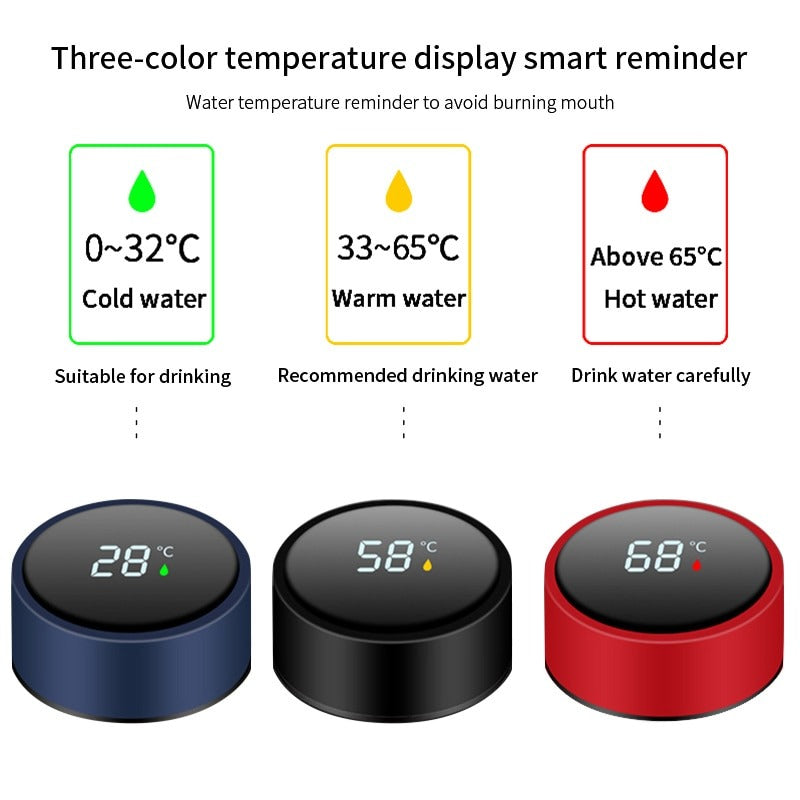 500ml Smart Water Bottle with LED Temperature Display & Stainless Steel